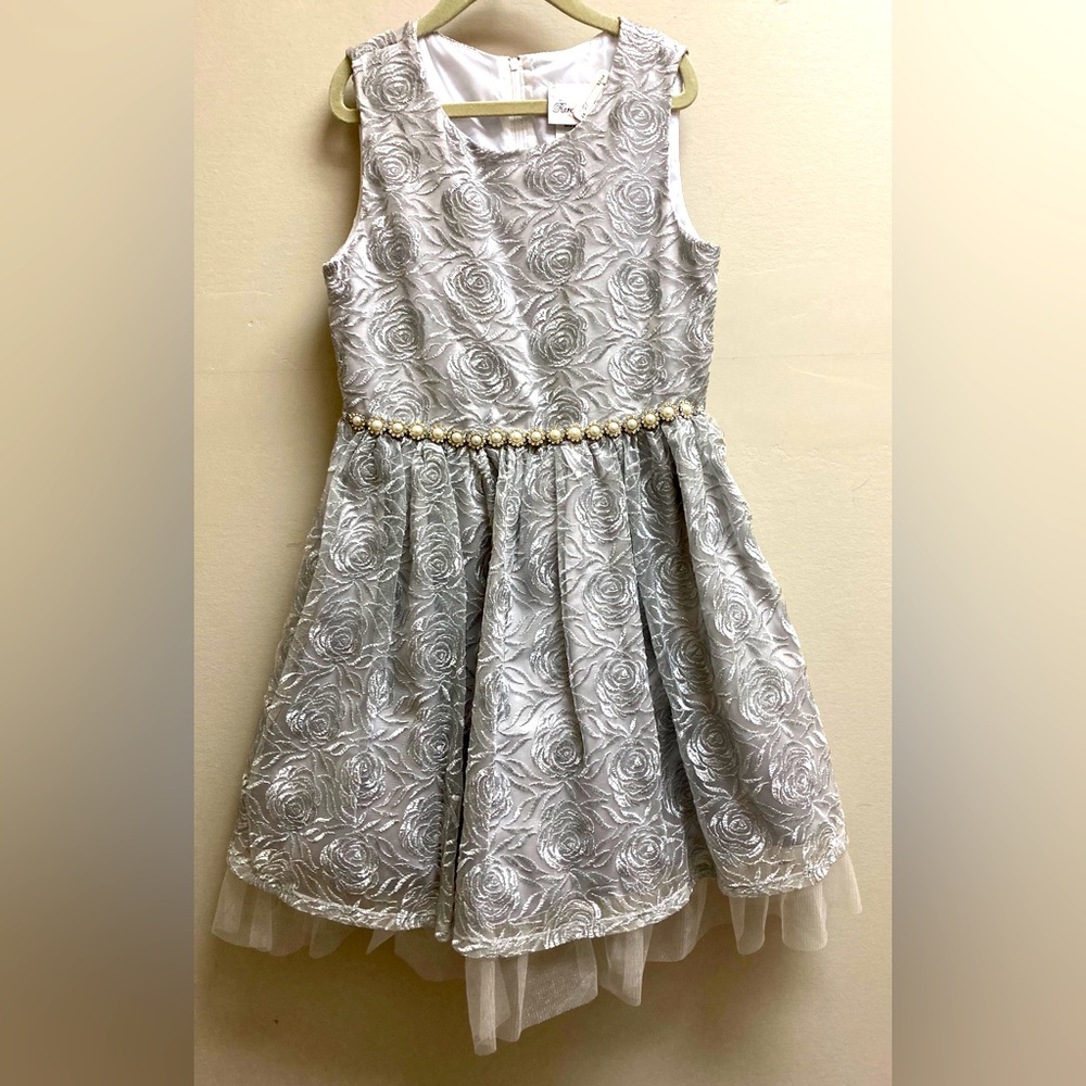 Rare Editions Silver Embossed With Roses Print Dress With Beaded Belt Sz 10